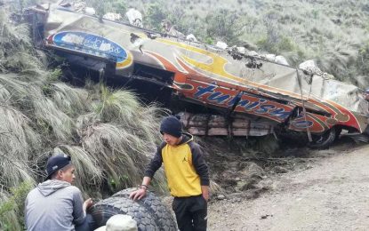 Tragedia en Bolivia: un micro cayó 200 metros por un barranco y murieron 11 personas