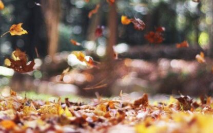 Arrancó el otoño: a qué hora fue el equinoccio en Argentina