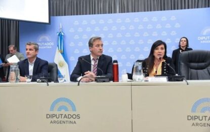 Diputados: Libertarios y PRO impulsan el debate para reducir la edad de imputabilidad de menores