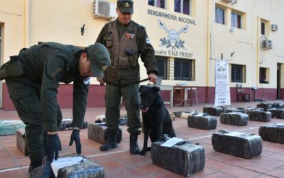 Un perro de Gendarmería detectó 1.400 kilos de marihuana en un camión que iba a Chile