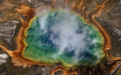 «La caldera de Yellowstone»: crece la preocupación por la migración de animales y los científicos explican qué hay detrás del video viral de la huida masiva
