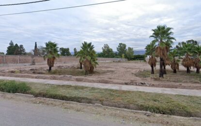 Femicidio en Mendoza: encuentran a una mujer asesinada con un mensaje en el cuerpo y su pareja es el principal sospechoso
