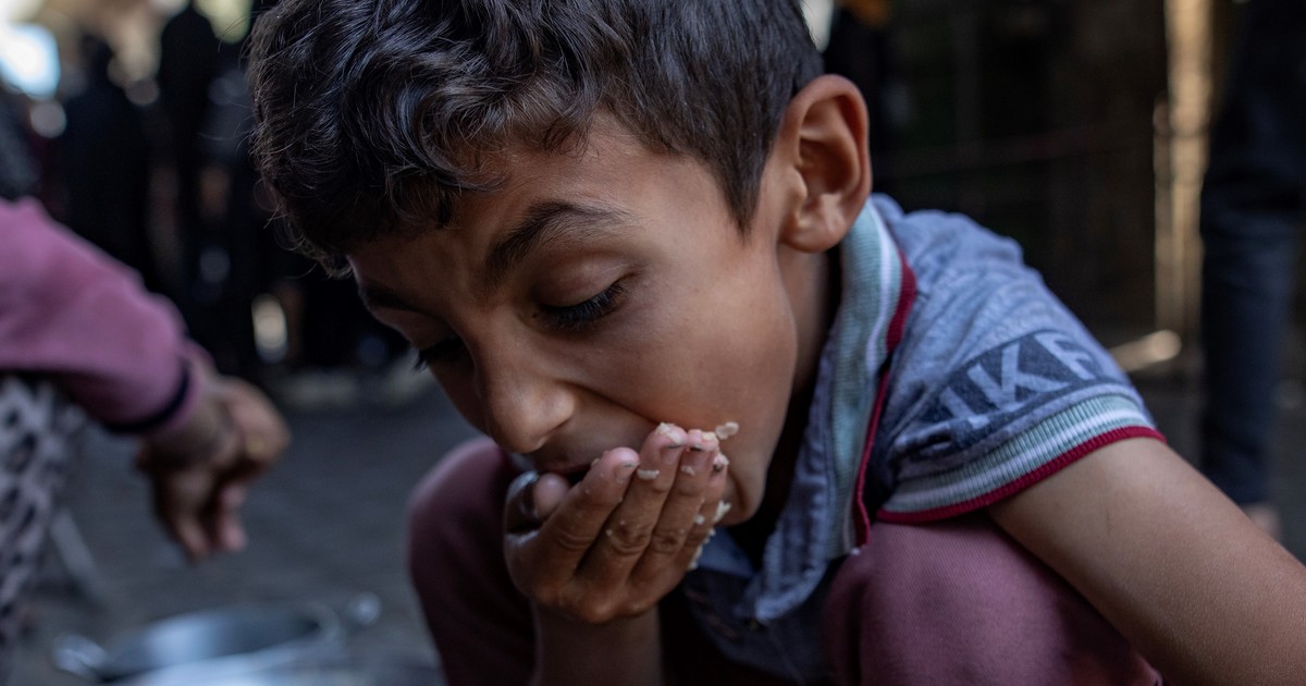 «el-peor-escenario-de-hambruna-esta-en-curso-en-gaza»,-advierten-expertos-y-pronostican-muertes-generalizadas
