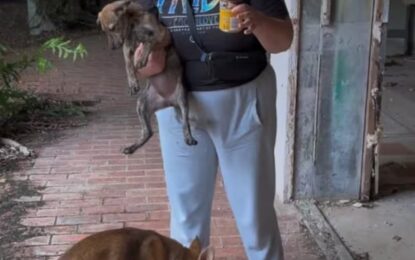 Fueron a rescatar a unos cachorros y se encontraron con una situación tan tierna como inesperada