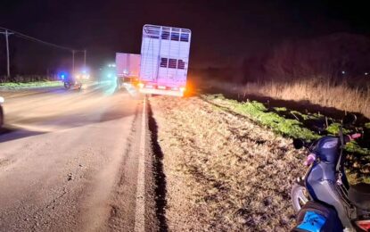 Tragedia en Entre Ríos: una mujer viajaba en moto junto a su hija, se cayó y fue atropellada por un camión