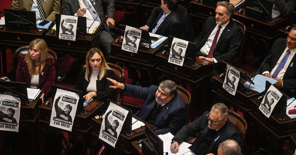 senado:-la-oposicion-busca-avanzar-con-universidades-y-emergencia-pediatrica-y-se-reactiva-el-proyecto-de-ampliacion-de-la-corte