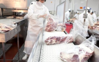 Cambió la tendencia en las exportaciones de carne bovina: julio cerró con suba en el valor pese a una leve baja en los volúmenes