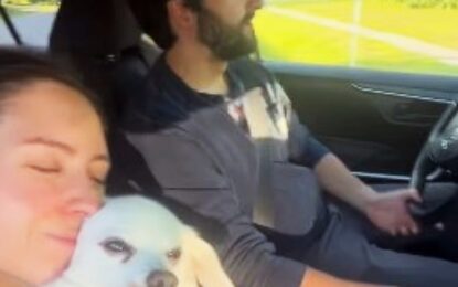 Se iban a casar, su perro se enfermó y gastaron todo el presupuesto de su boda para salvarlo: «Elvis está primero»