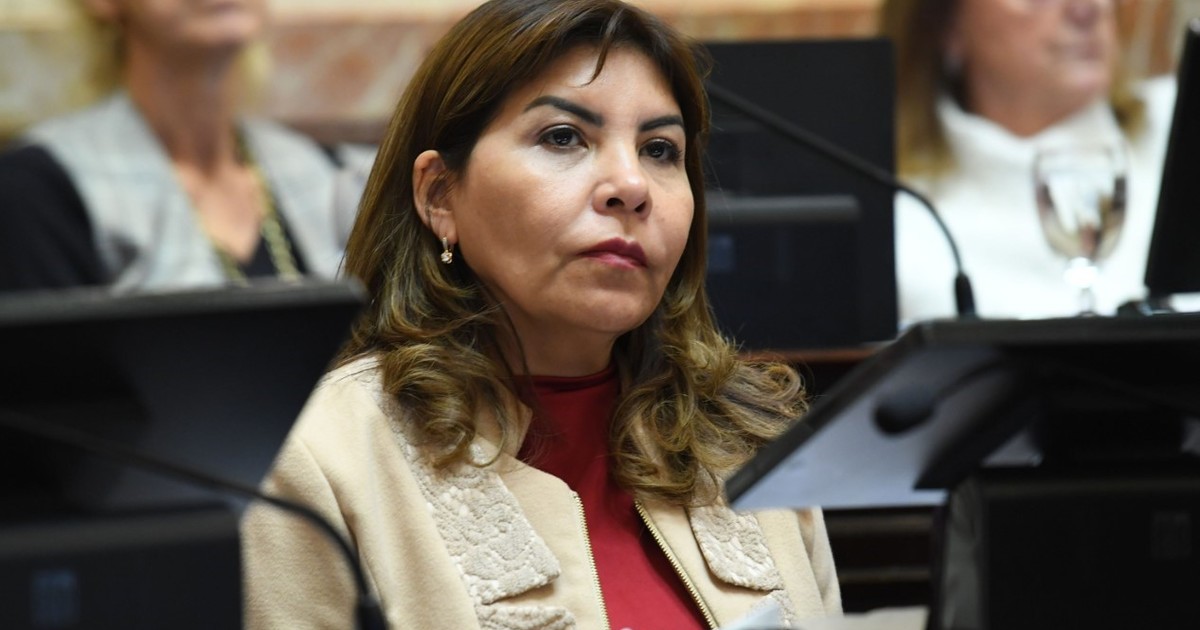 la-polemica-declaracion-de-una-senadora-kirchnerista:-«no-creo-que-este-gobierno-llegue-al-26-de-octubre»