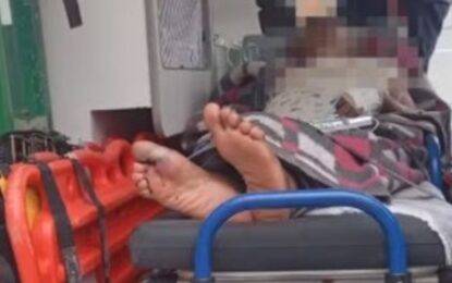 Abandono total: murió una mujer de 71 años que fue encontrada en una cama infestada de mosquitos