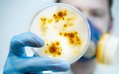 Qué son las “bacterias pesadilla”: los casos aumentan en EEUU y encienden alarmas sanitarias