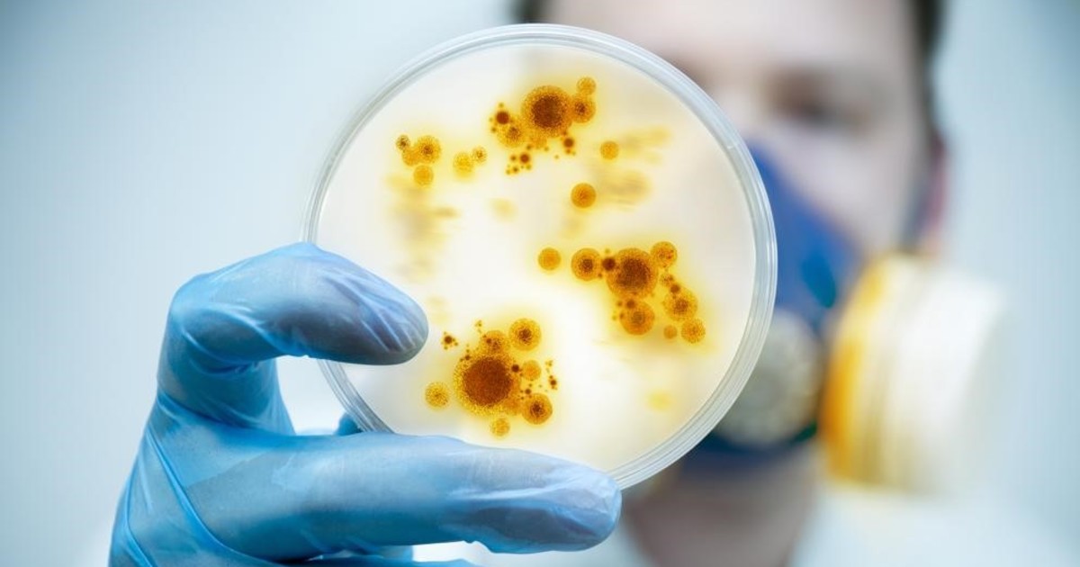 que-son-las-“bacterias-pesadilla”:-los-casos-aumentan-en-eeuu-y-encienden-alarmas-sanitarias