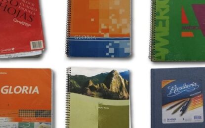 Los cuadernos de las coimas: un abogado de Poder Ciudadano reclamó que solo los arrepentidos puedan pedir la reparación integral