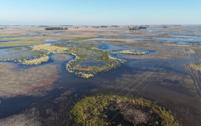 Se declaró la emergencia agropecuaria en distritos bonaerenses afectados por inundaciones