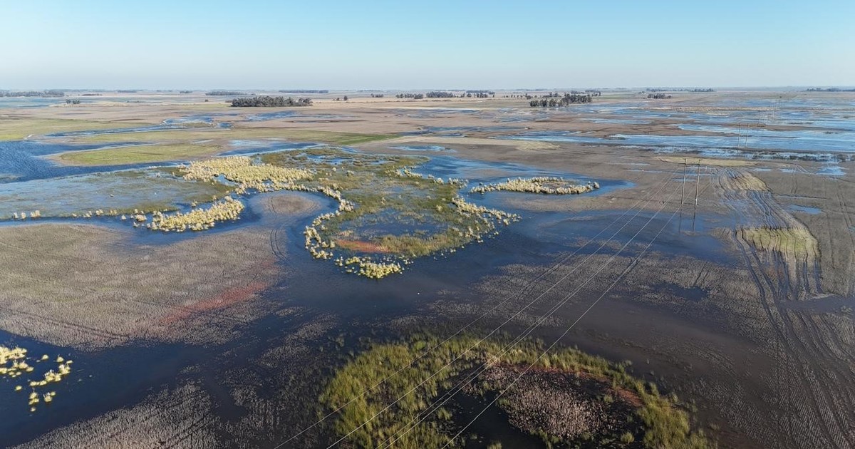 se-declaro-la-emergencia-agropecuaria-en-distritos-bonaerenses-afectados-por-inundaciones