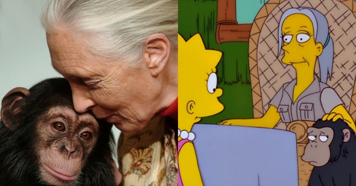 murio-jane-goodall:-el-dia-que-“la-mujer-de-los-chimpances”-aparecio-en-los-simpsons