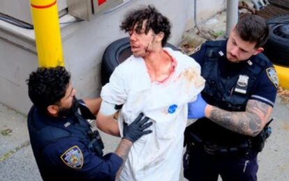Un joven de 19 años decapitó al novio de su madre y puso su cerebro en una licuadora