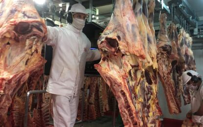 Las exportaciones de carne crecieron un 25% en valor: ingresaron casi US$ 2.800 millones en lo que va del año