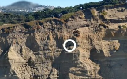 Un equipo de bomberos realizó un increíble rescate de un perro que cayó en un acantilado