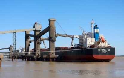 El fuerte impacto en el precio de la soja y por qué podría beneficiar a la industria argentina el acuerdo comercial entre China y Estados Unidos