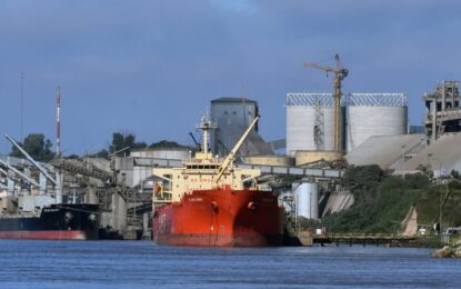 Se desplomó la liquidación de divisas del campo tras la finalización de las retenciones cero
