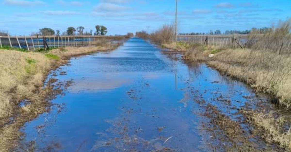 un-municipio-bonaerense-permitira-que-los-productores-arreglen-los-caminos-rurales-y-descuenten-el-costo-de-la-tasa-vial