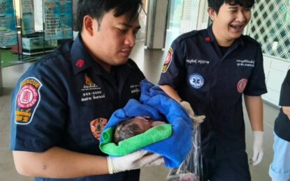 Una empleada de limpieza encontró a una bebé en un baño: estaba dentro del depósito de agua