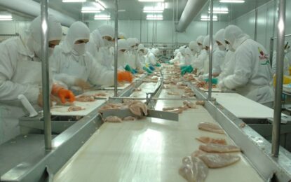 Se agrava la crisis de Granja Tres Arroyos y tambalean las plantas de la principal productora de pollos de la Argentina