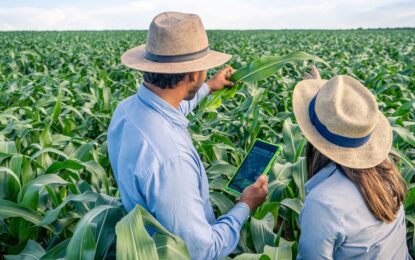 Una multinacional anunció la apertura global de su plataforma digital a desarrolladores