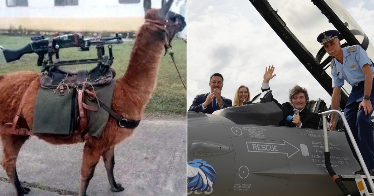 santilli-celebro-la-llegada-de-los-f-16-con-un-ironico-mensaje-contra-el-kirchnerismo:-«pasamos-de-incorporar-llamas-metralletas-a-aviones-de-combate»