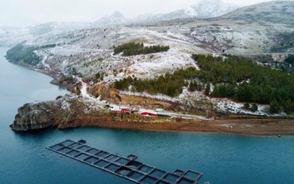 Tierra del Fuego avanza en su diversificación: una nueva ley habilita el cultivo de salmón y trucha como en Noruega e Islandia