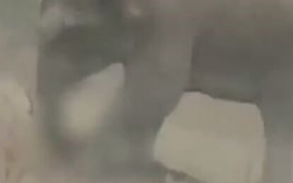 Intentó sacarse una selfie con una manada de elefantes y murió pisoteado: el video de la tragedia