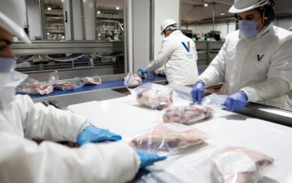 Impacto en la ganadería: China decidió imponer una cuota y aranceles a la carne argentina