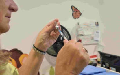 Alerta por la gripe H3N2: avanza en Sudamérica y estudian si ya circula en la Argentina