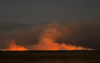 El fuego se devoró casi 100.000 hectáreas en La Pampa y los productores piden medidas para enfrentar la situación y las pérdidas