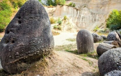 El misterio inexplicable de las piedras vivas: crecen, se reproducen y respiran
