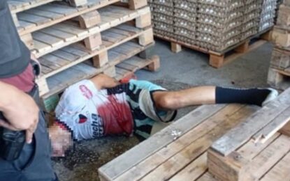«Ya está, hermano, me rompiste la panza»: la súplica de un ladrón baleado en un depósito de huevos en Parque Avellaneda