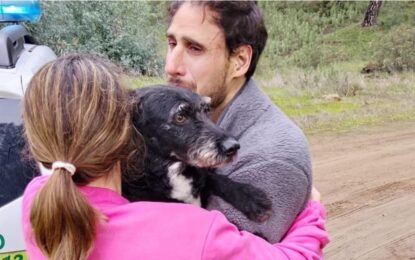 Encontraron a Boro, el perro perdido tras el accidente de trenes en España