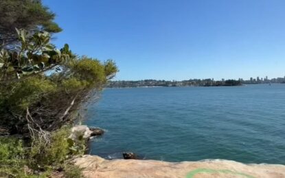 Australia: murió un chico de 12 años tras ser atacado por un tiburón mientras jugaba en el agua con sus amigos
