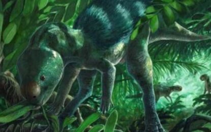 Hallaron los huesos del dinosaurio más pequeño del mundo