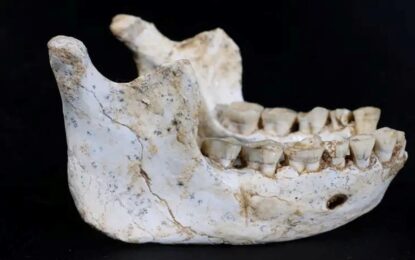 Hallazgo histórico en África: encuentran restos de un ancestro del Homo sapiens de 700 mil años
