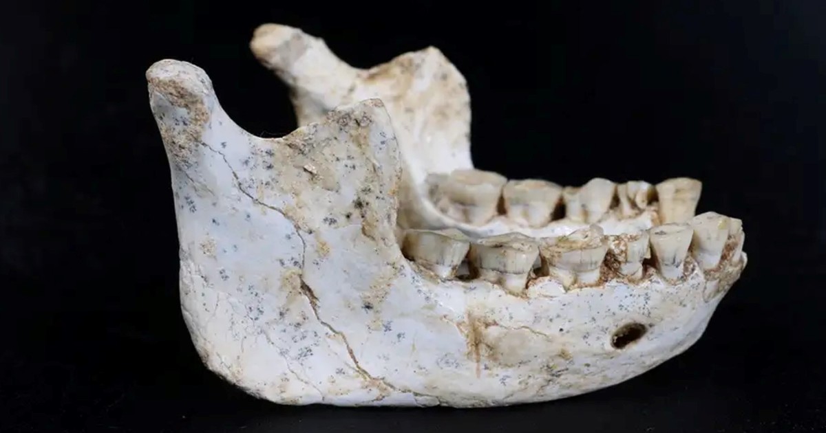 hallazgo-historico-en-africa:-encuentran-restos-de-un-ancestro-del-homo-sapiens-de-700-mil-anos