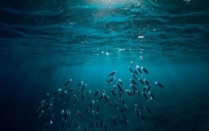 El misterio del «oxígeno oscuro» a 4.000 metros de profundidad: inicia la misión científica para descubrir qué lo origina
