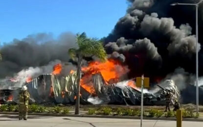 Incendio en un depósito en Benavídez: el fuego calcinó el lugar pero no se registraron heridos