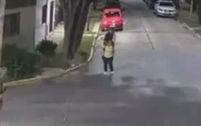 Vicente López: agredió a una mujer por la espalda con una patada karateca para robarle