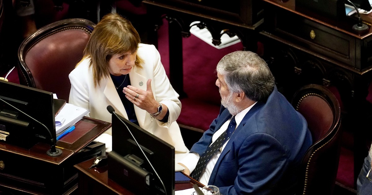 bullrich-acordo-con-el-peronismo-para-desbloquear-las-comisiones-en-el-senado-y-diputados-conformara-18-esta-semana