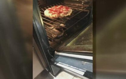 Cocinaban una pizza y sin darse cuenta también cocinaron una serpiente