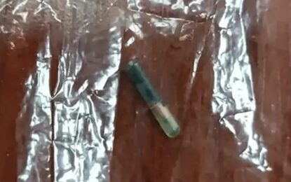 Encontró un microchip en su plato y se enteró lo que había comido
