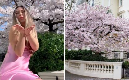 Cada año, una multitud de influencers se saca fotos en un exclusivo barrio: los propietarios contrataron personal de seguridad para evitarlo