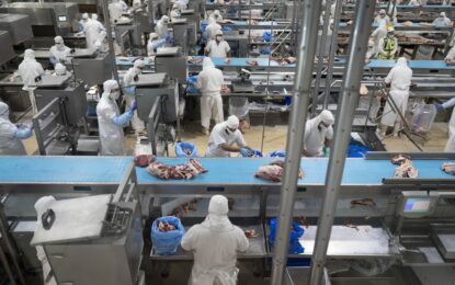 Creció más del 30% el ingreso de dólares en el primer bimestre del año por las exportaciones de carne vacuna